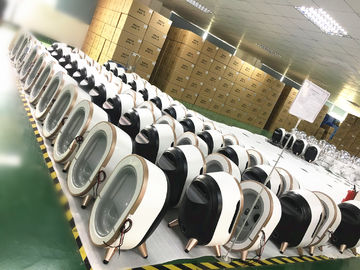 Máy kiểm tra da 3D Magic Mirror 9 Dịch vụ ODM ngoại ngữ
